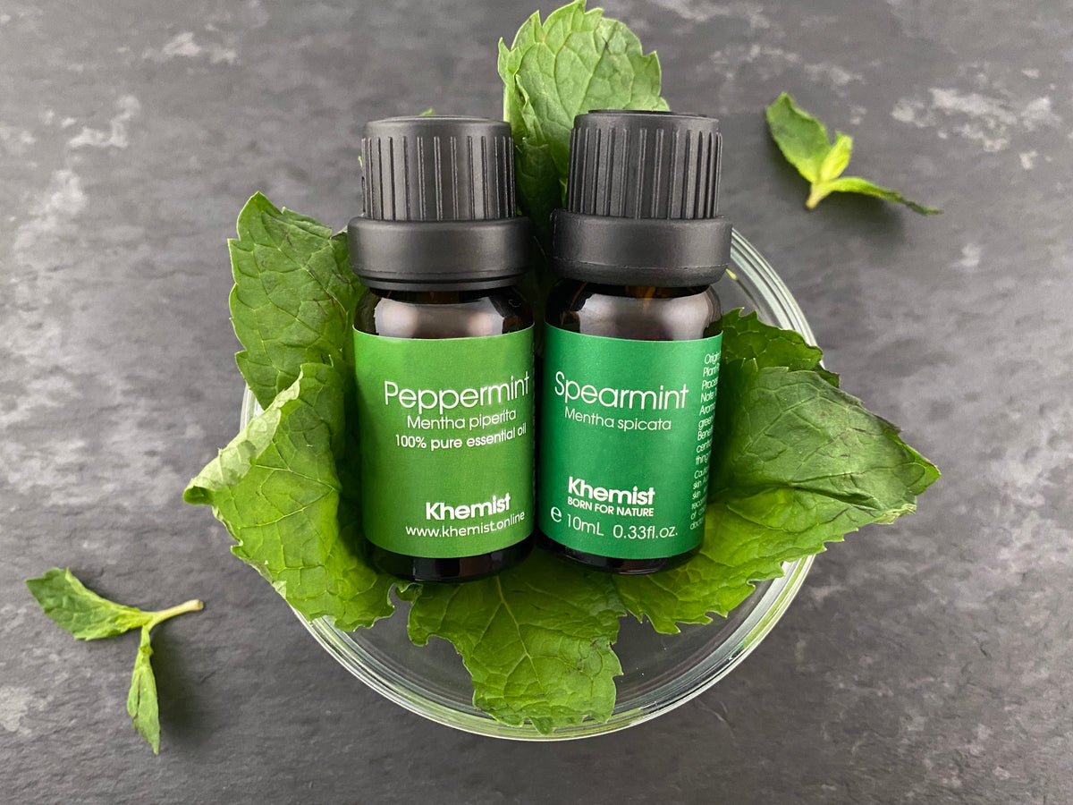 Discover the Minty Magic: Peppermint vs. Spearmint Essential Oils